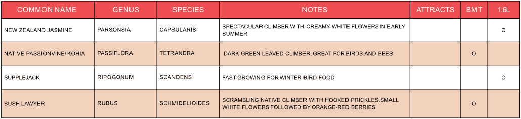 Plant Hawkes Bay climbers plant list